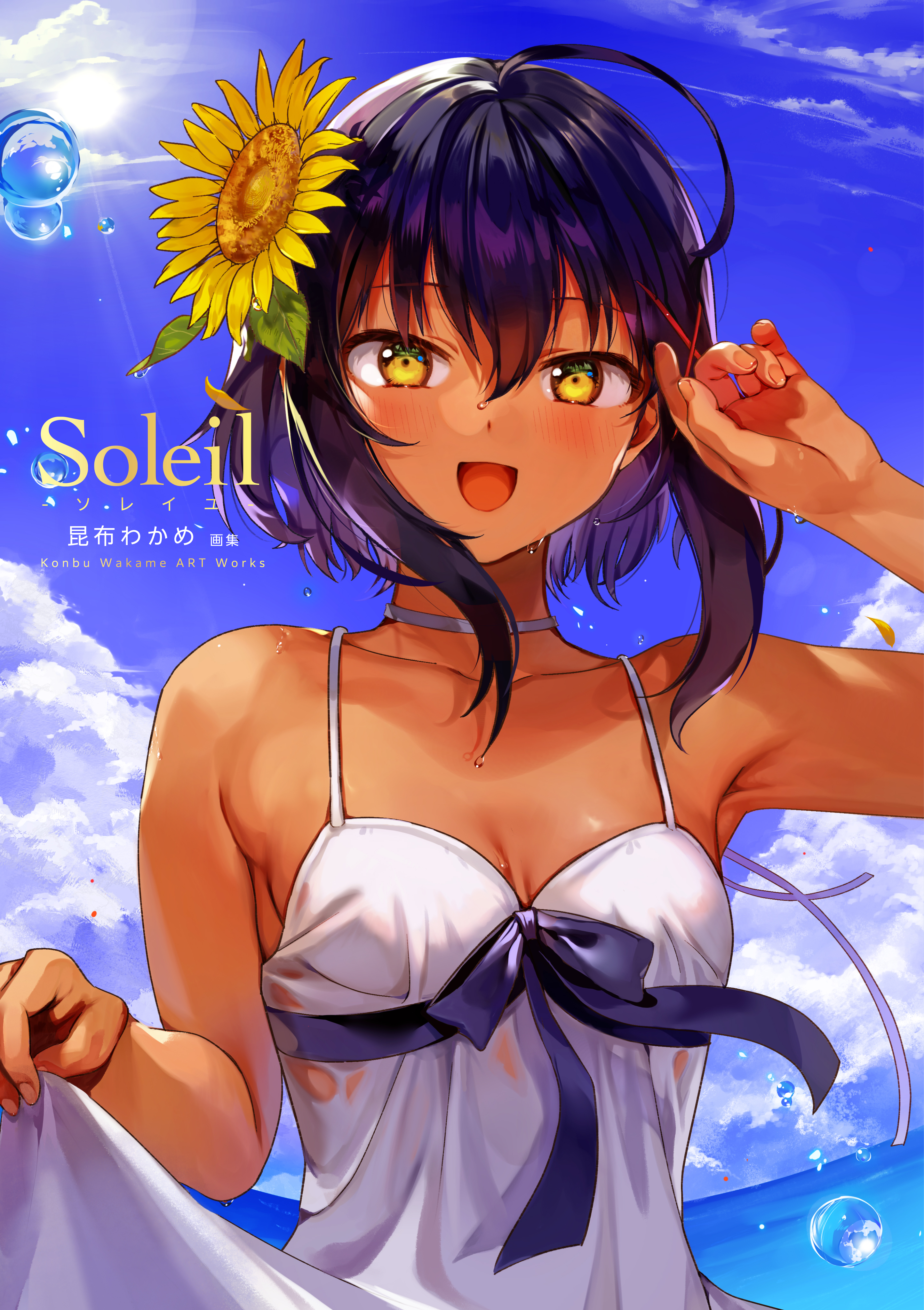 Soleil -ソレイユ：昆布わかめ画集- | アールジュネス・軸中心派・E☆2