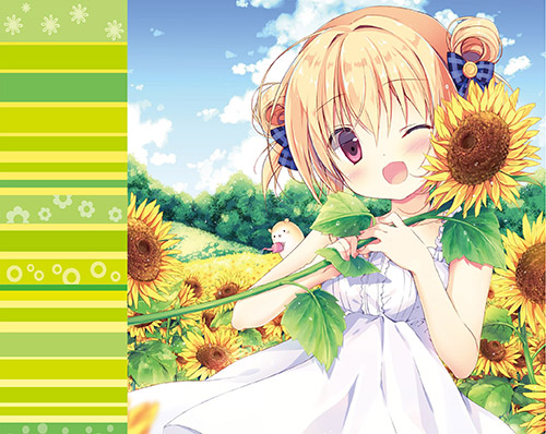 【宮坂みゆ】マグネット付き色紙収納BOX・サンサン☆フラワーバケーション