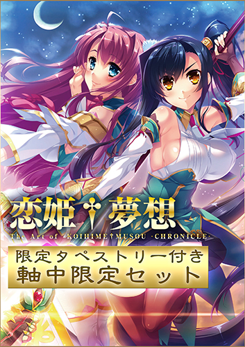 爆買いお得軸中心派 戦国†恋姫 B2タペストリー キービジュアル タペストリー