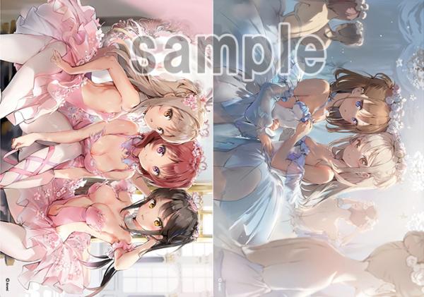 【Anmi】A3吸着シート・フラミンゴバレエ団/舞台裏