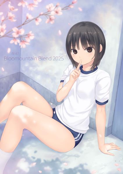 ≪予約≫【ロイヤルマウンテン/珈琲貴族】Bloomountain Blend 2025