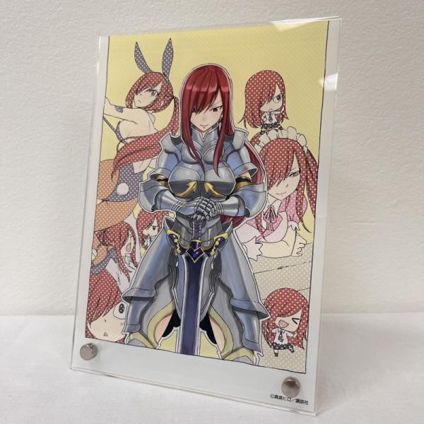 ≪予約≫【FAIRY TAIL】A5アクリルパネル・C