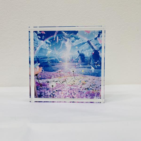 【まころん】アクリルブロック・光舞うコスモスの丘【GW新作】