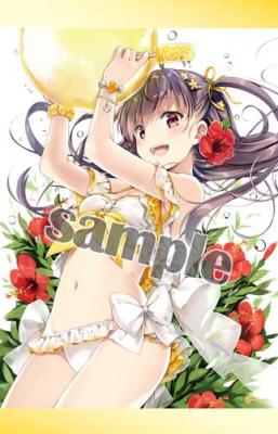 【なつめえり】B2タペストリー・ビキニ