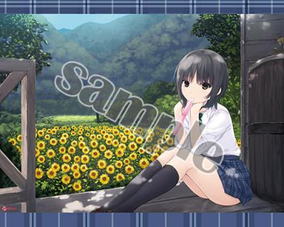 【珈琲貴族】B2タペストリー・夏のはじまり