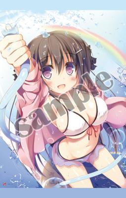 SALE【希望つばめ】B2タペストリー・虹浴び