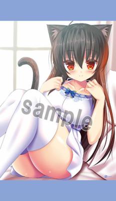 【Syroh】B2タペストリー・白い黒猫