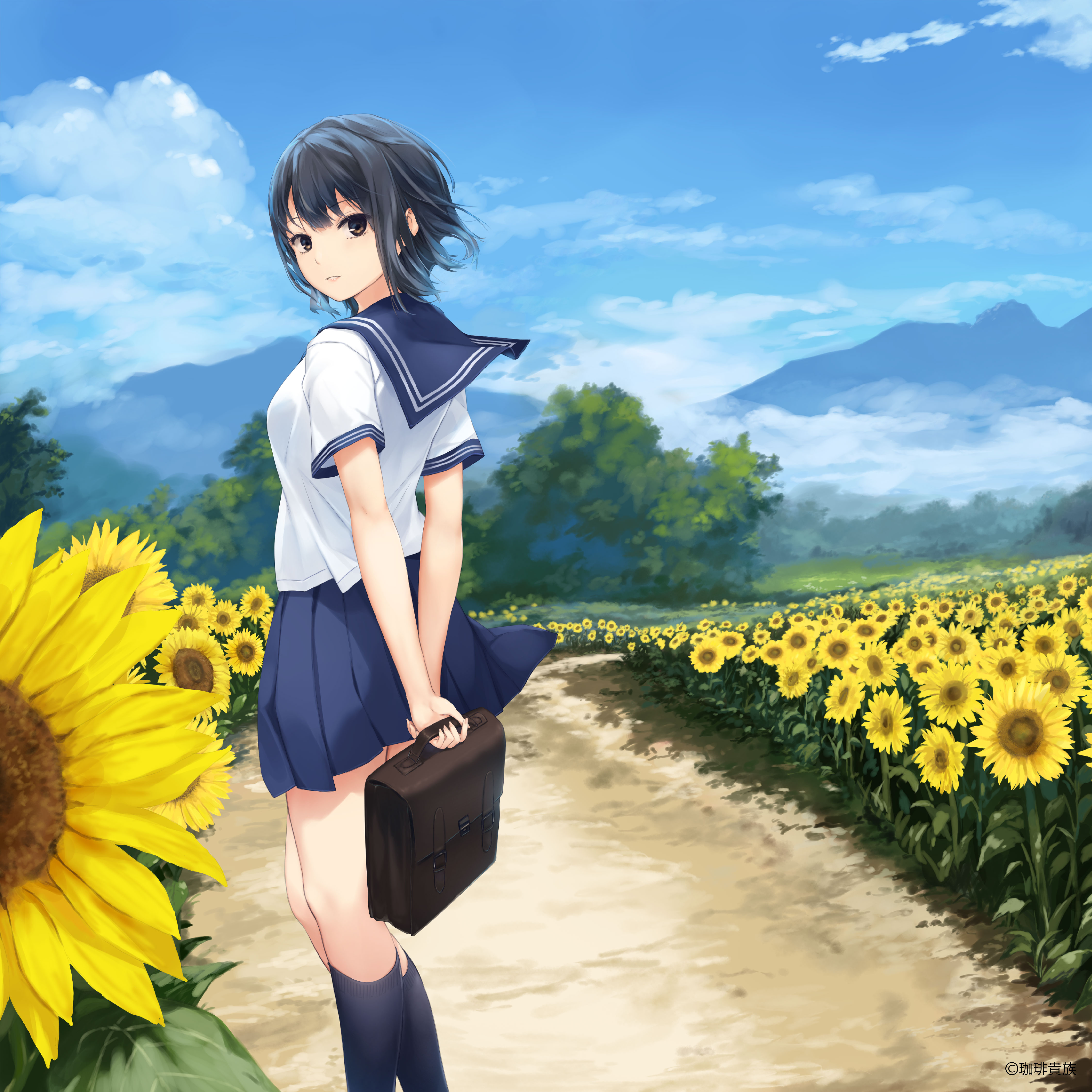 珈琲貴族 アールジュネス 軸中心派 E 2 えつ