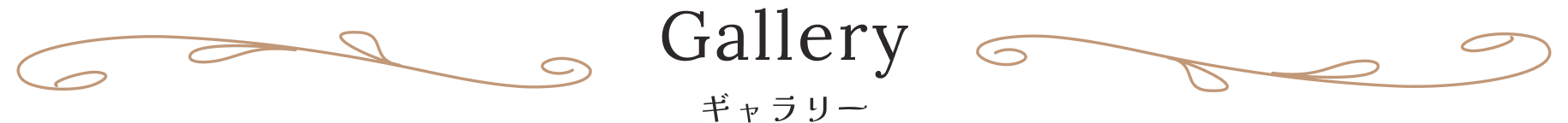 Gallery ギャラリー