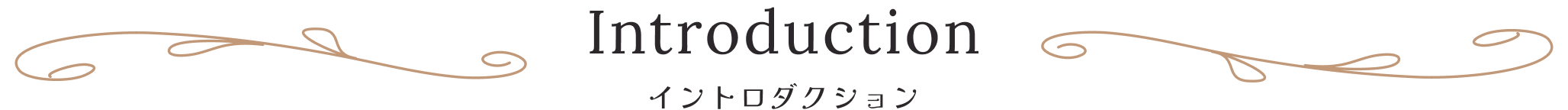 Introduction イントロダクション