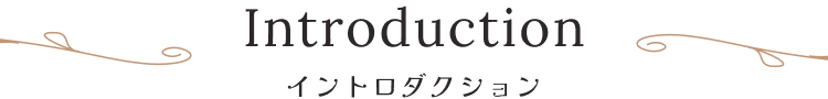 Introduction イントロダクション