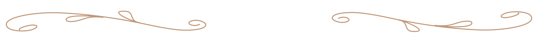 Profile 作家経歴